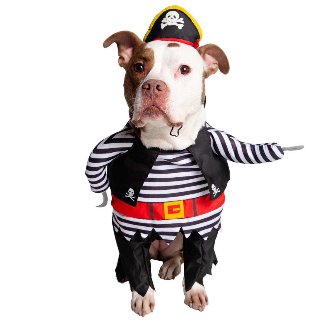 Pirate Dog Costume